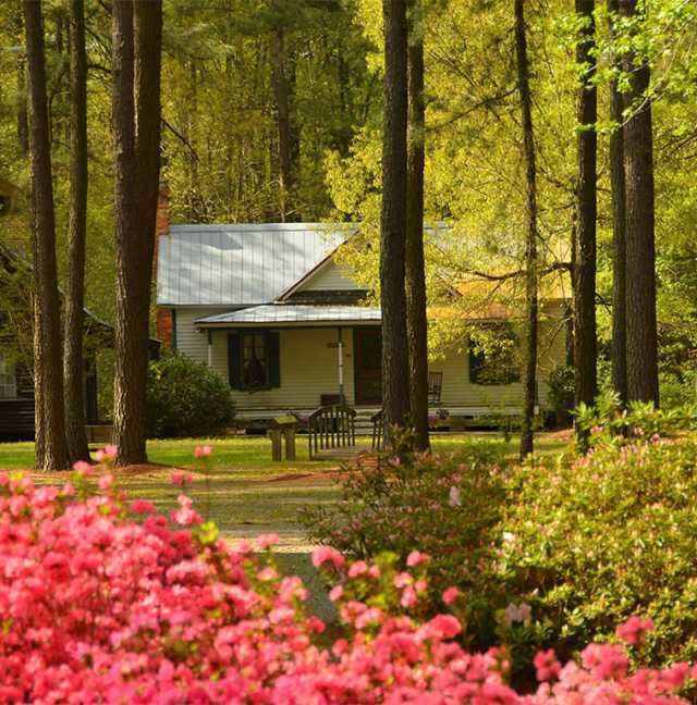Tobacco Farm Life Museum Johnston County Nc
