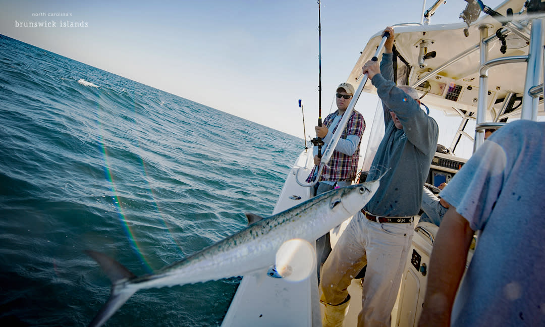 Deep Sea Fishing Charter, man pulling fish into a boat