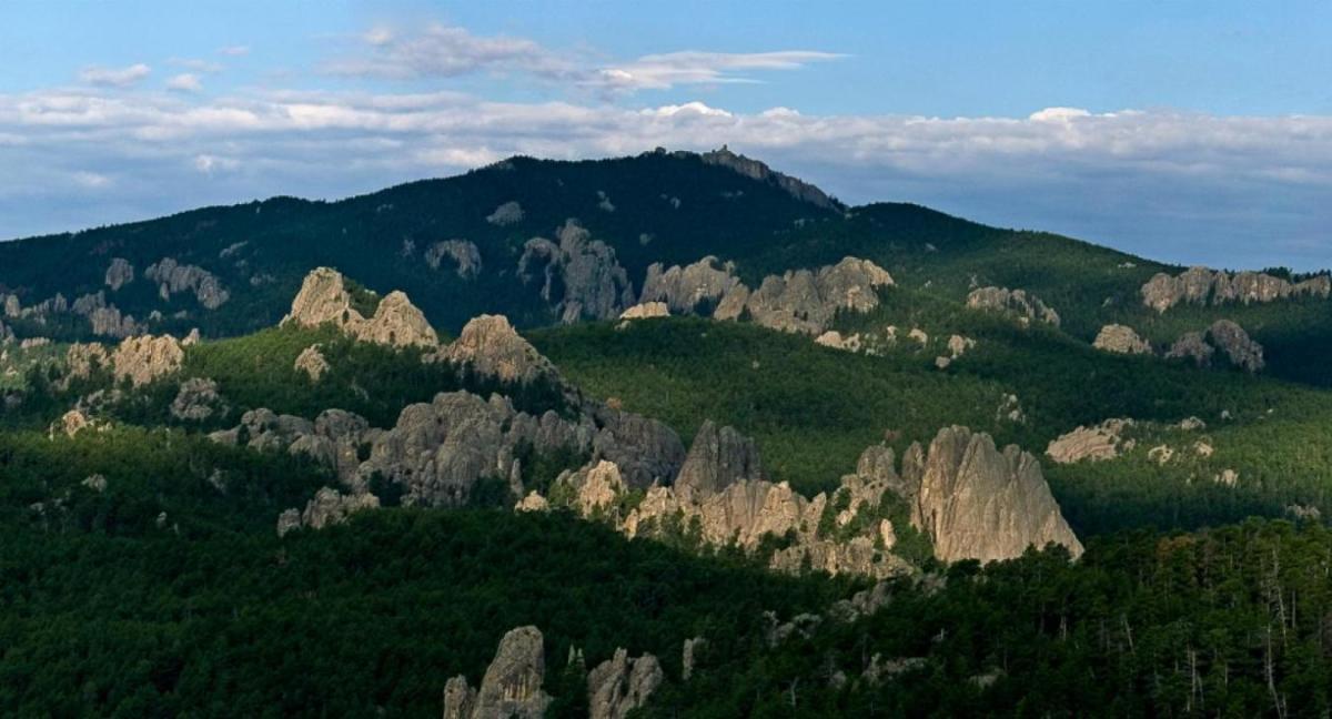 Black-Hills-National-Forest