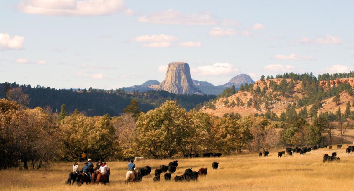Devils-Tower