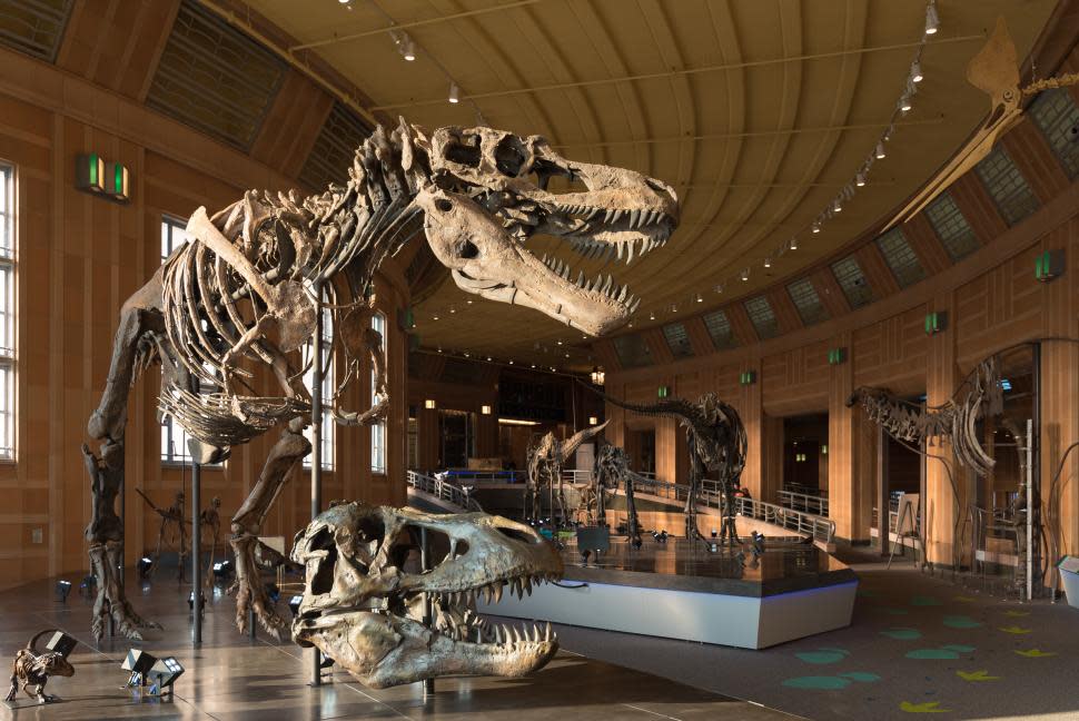 Dinosaur Hall at Cincinnati Museum Center (photo: Phil Armstrong)