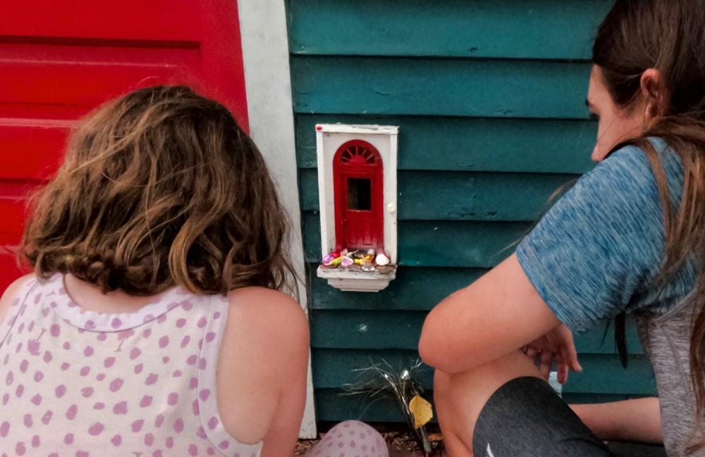 children visit fairy door