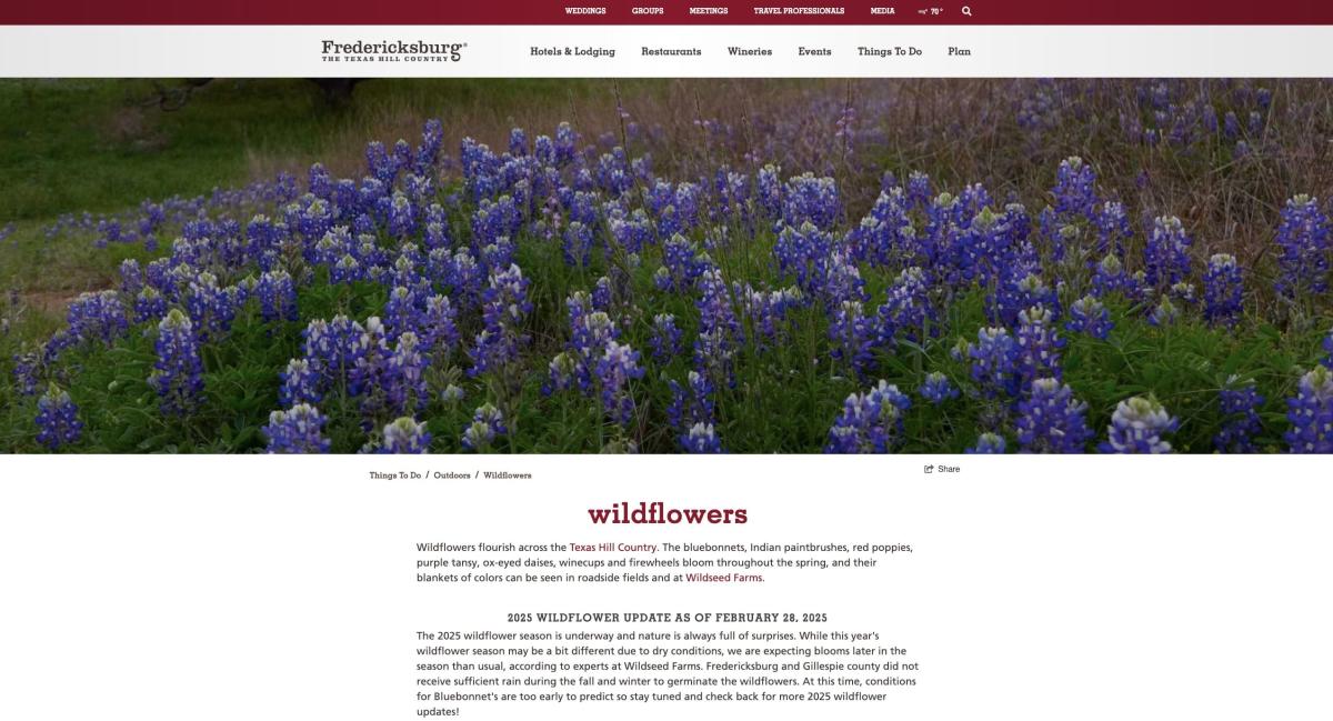 A screenshot of the wilflowers landing page on Visit Fredericksburg's website.