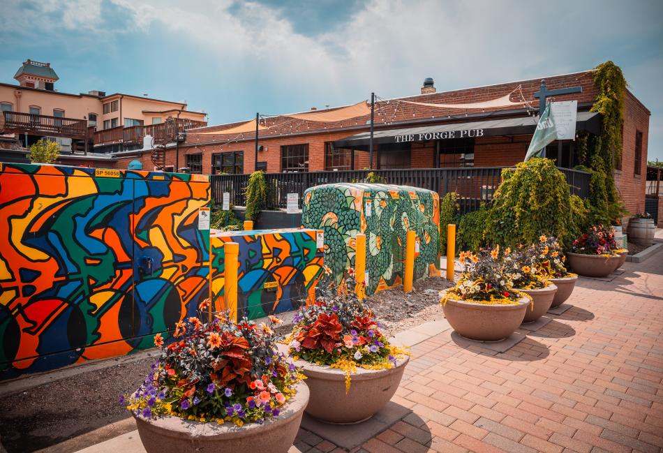 Cabinet Murals and flowers in Downtown Fort Collins