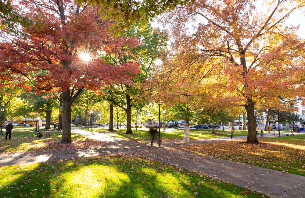 Fall on U-M Campus