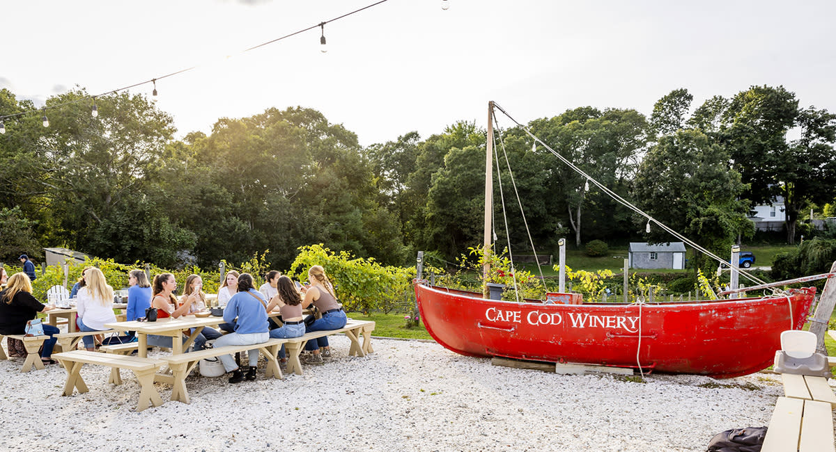 Cape Cod Winery