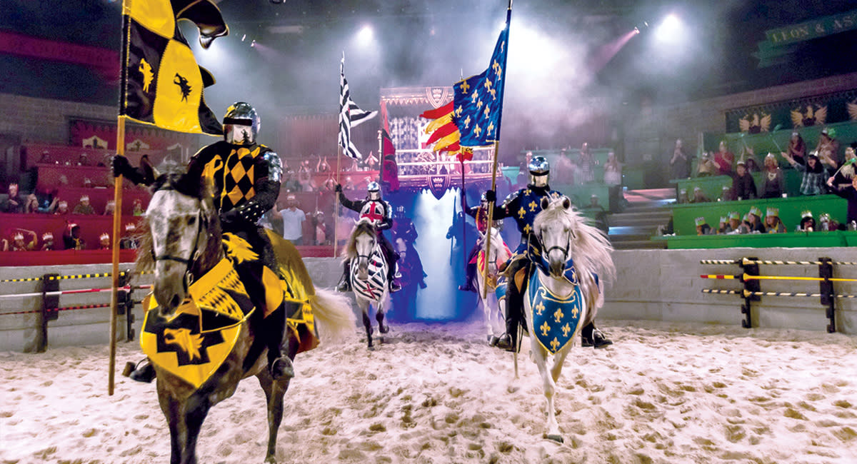 Duluth Medieval Times
