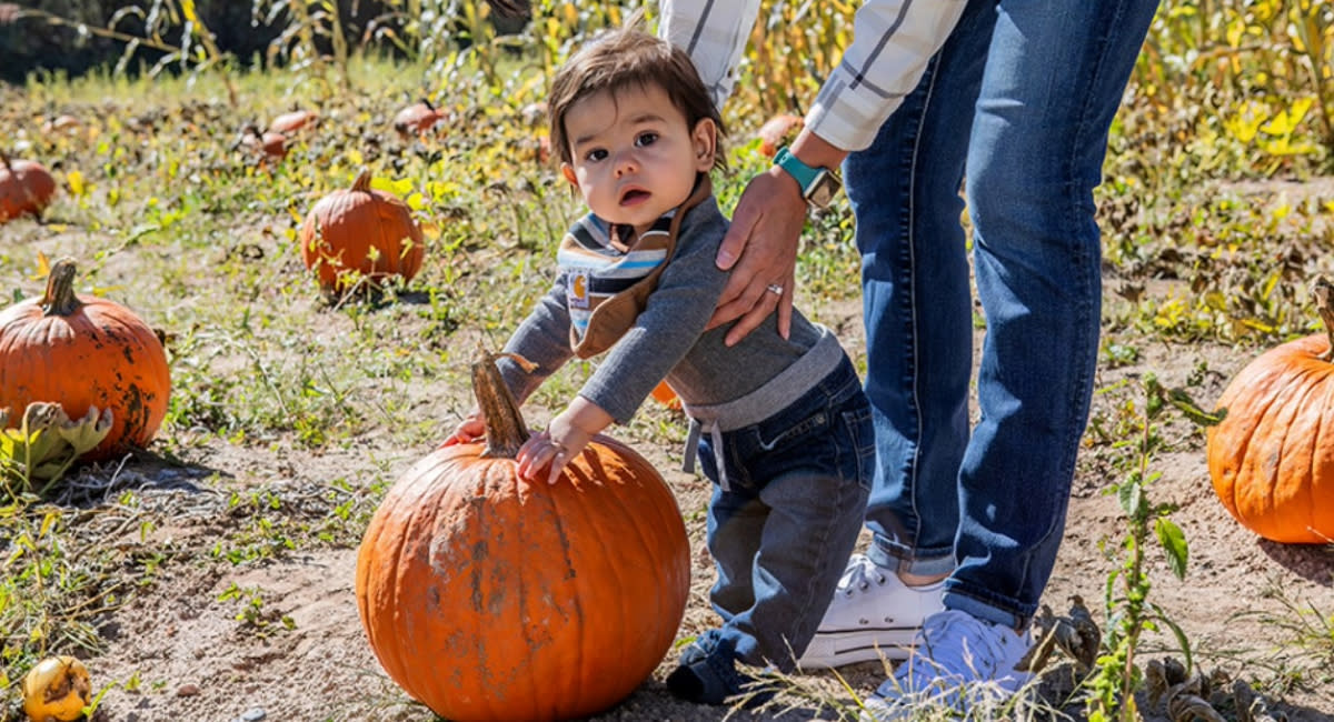 Santa Fe Harvest Festival