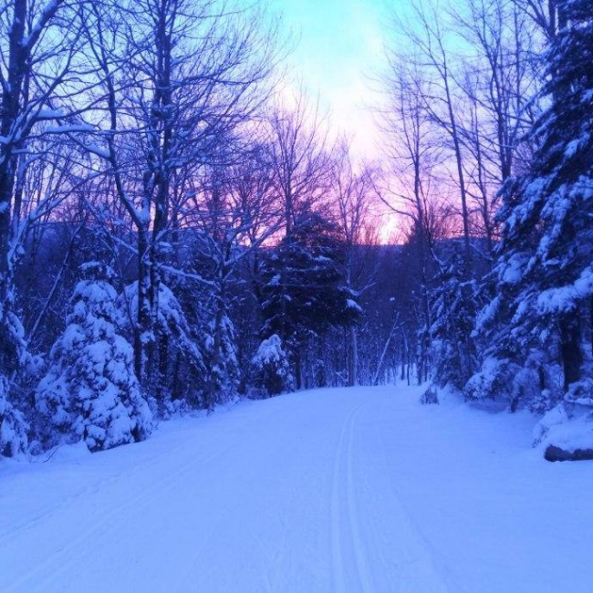 Great Glen Trails Winter Night