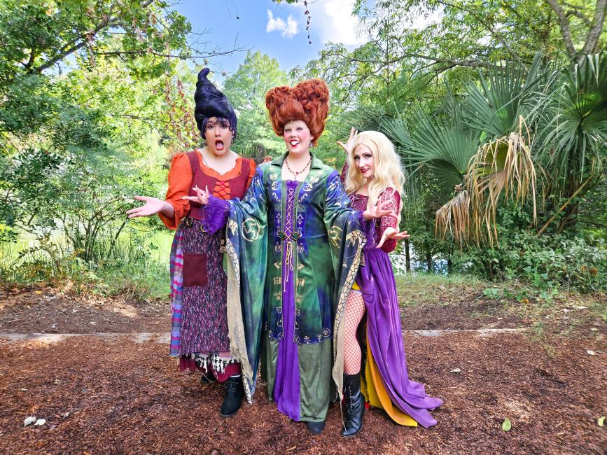 Sanderson Sisters Trio in full costumes