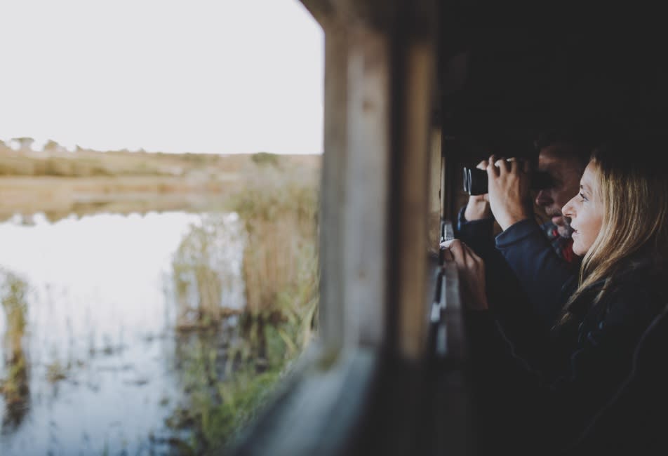 Bird watchers in a bird hide