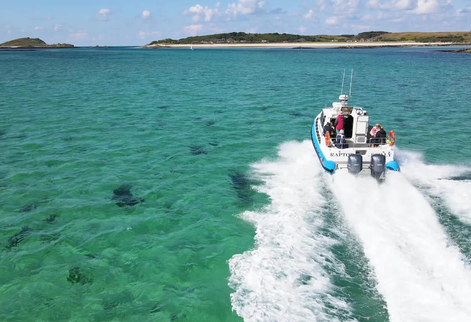 Raptor Boating sea safaris
