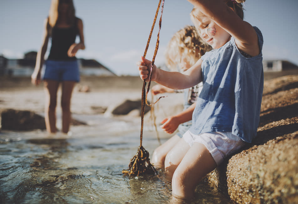 Day Trip - family in the rockpools