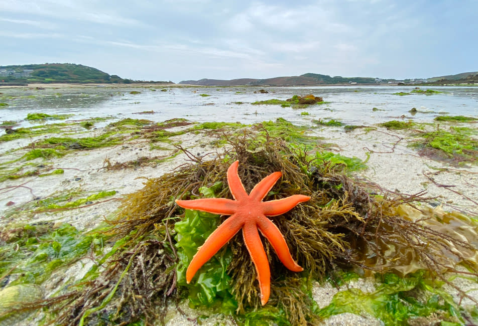 IOS Nav Landscape Large - Experience - Rockpool Safari 952x650