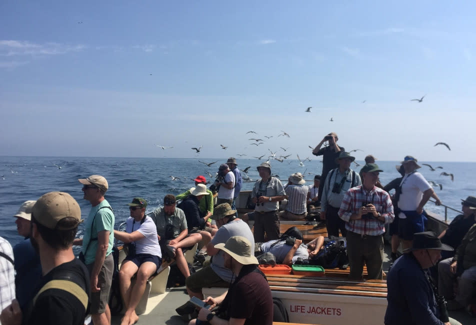 birders on a sea safari