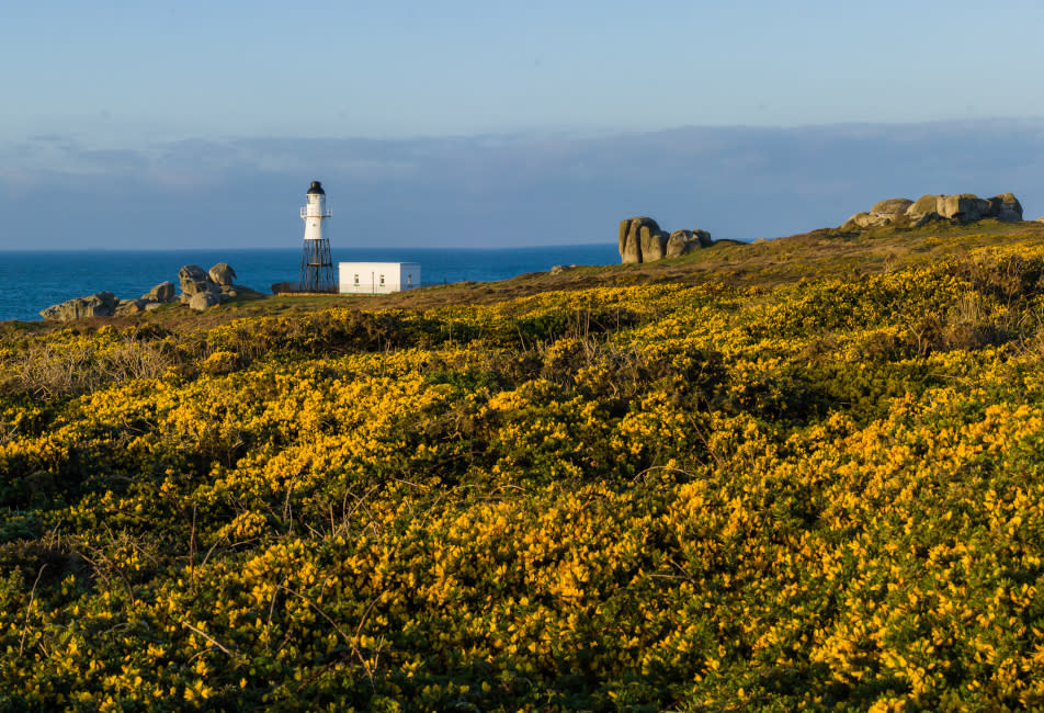 IOS Nav Landscape Large - Blog - Wildlife Trust - Lighthouse - 952x650