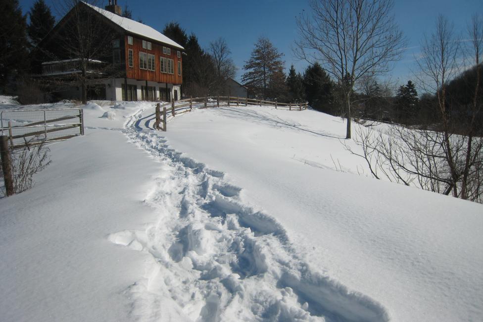 Winter Scenes Liftyourspiritsdlv Photos