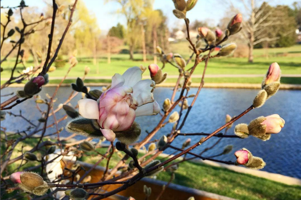 Say Cheese Top Photo Spots In Lehigh Valley