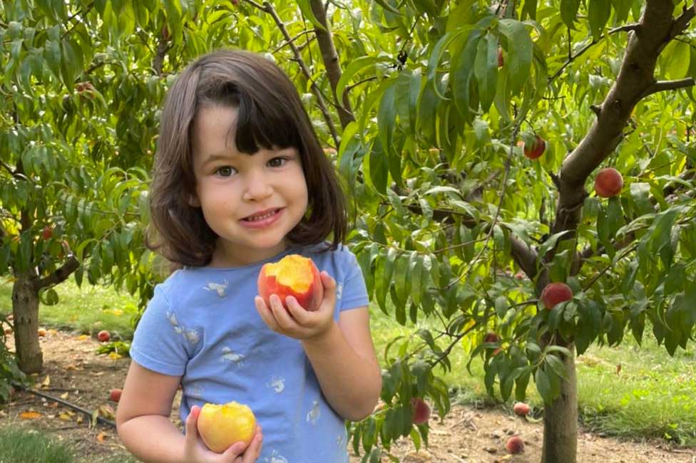 kid eating peach in farm
