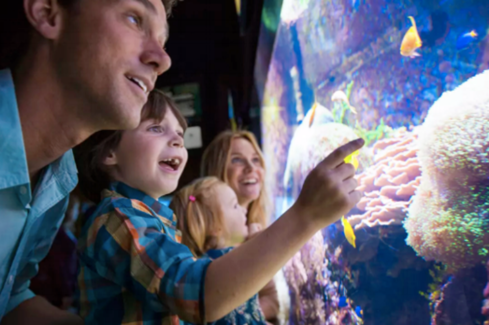 Aquarium of Niagara Aquarium of Niagara