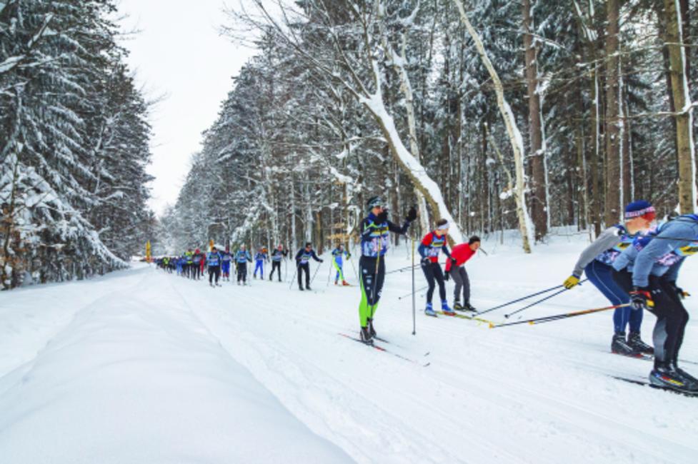 Winona Forest Tourathon Winona Forest Tourathon