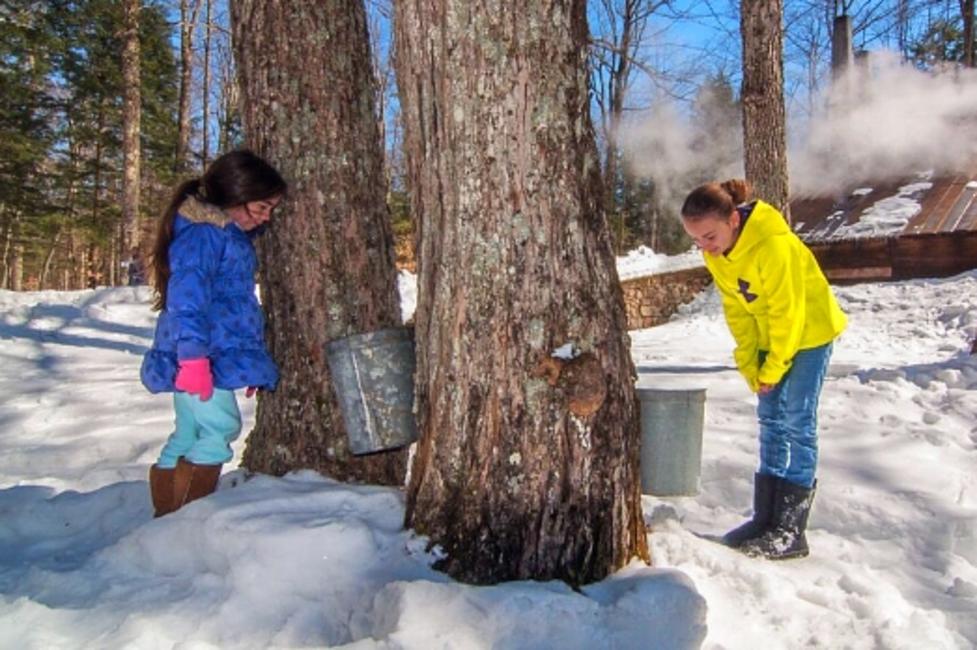 Top Things To Do In New York State This March