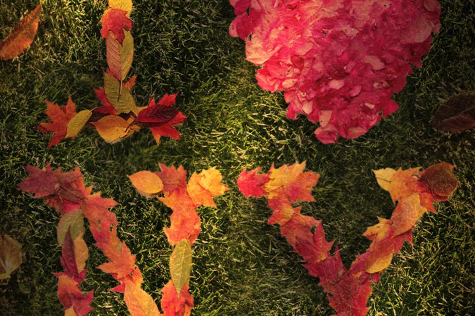 I Love NY logo in Foliage I Love NY logo in Foliage