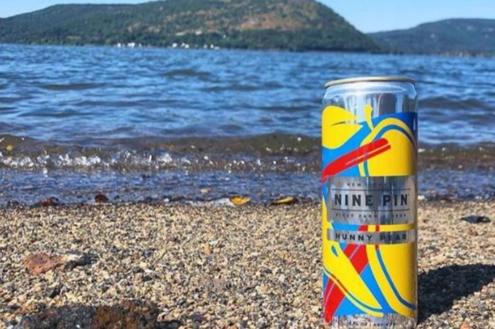 Nine Pin Ciderworks A photo of a can of Nine Pin Cider in the rocks on a beach in Capital-Saratoga