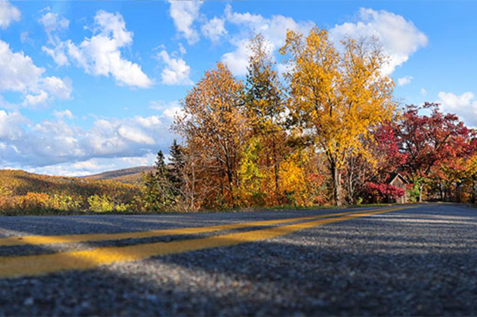 Finger lake fall driving tours - Photo Courtesy of VisitFingerLakes.com Finger lake fall driving tours - Photo Courtesy of VisitFingerLakes.com