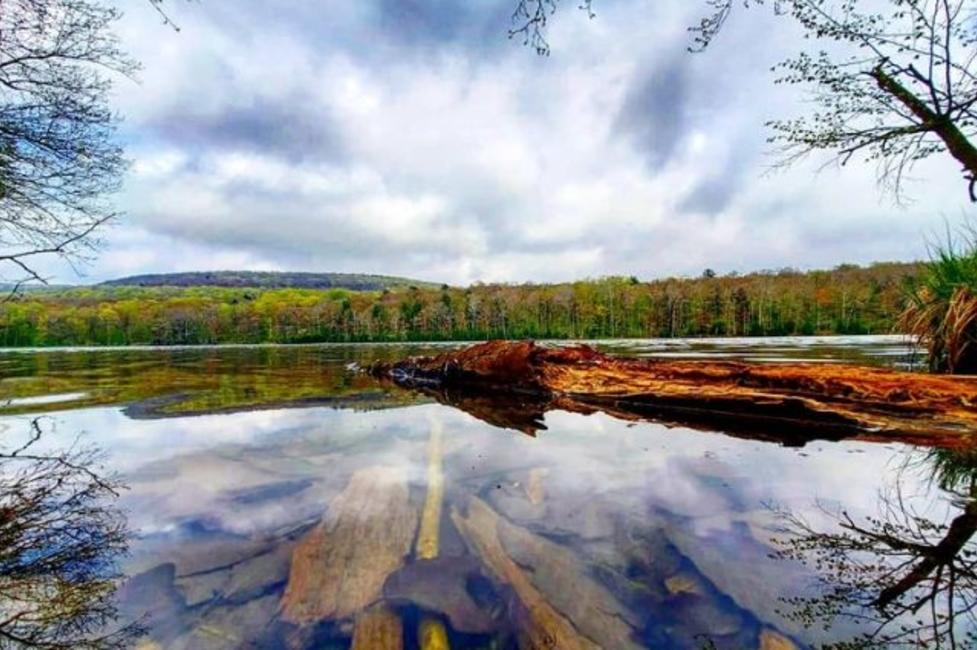 3 Of The Best Hikes In Delaware Sullivan Counties In The
