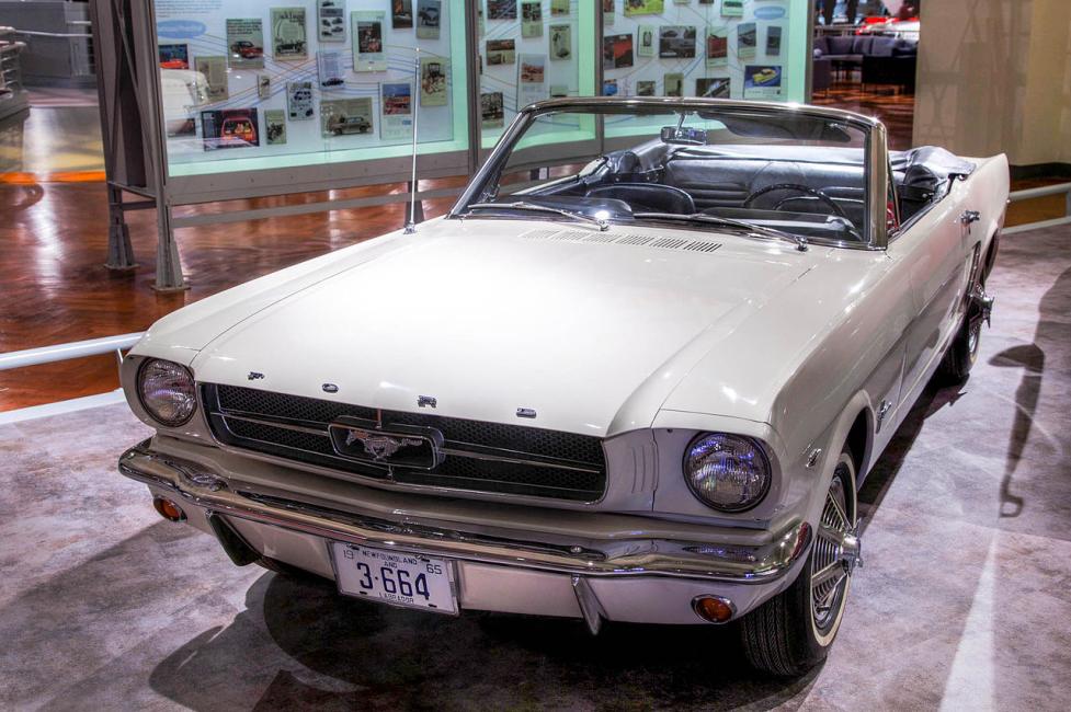 Mustang Mustang