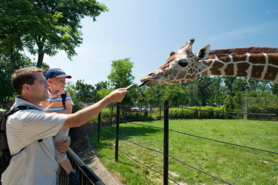 Buffalo Zoo - Photo by NYS ESD Buffalo Zoo - Photo by NYS ESD