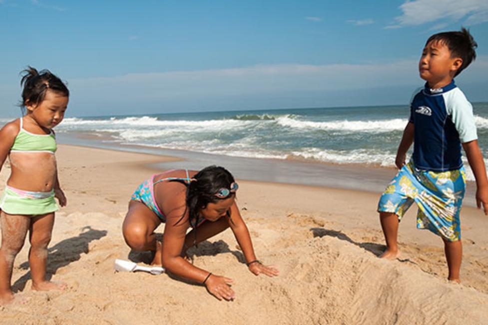 Beach in Long Island Beach in Long Island