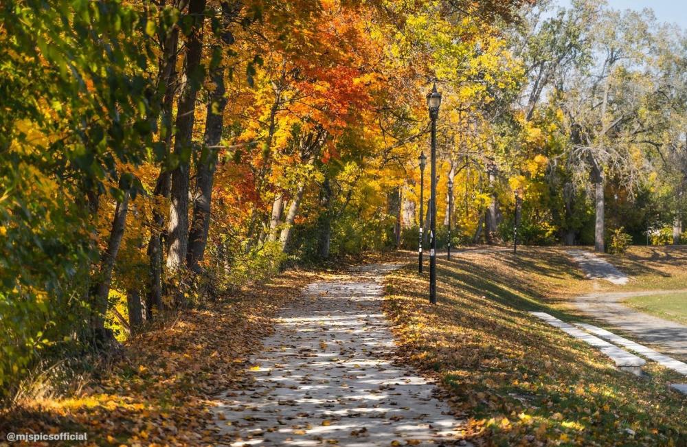 View from sidewalk facing the pathway ahead at Frog Island Park during a Fall day. Leaves are sprinkled on the paved pathway with shade from the trees reflecting on the sidewalk.