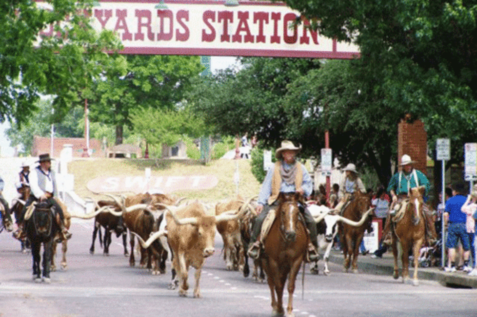 Drover on Horseback with Stockyard Station Sign