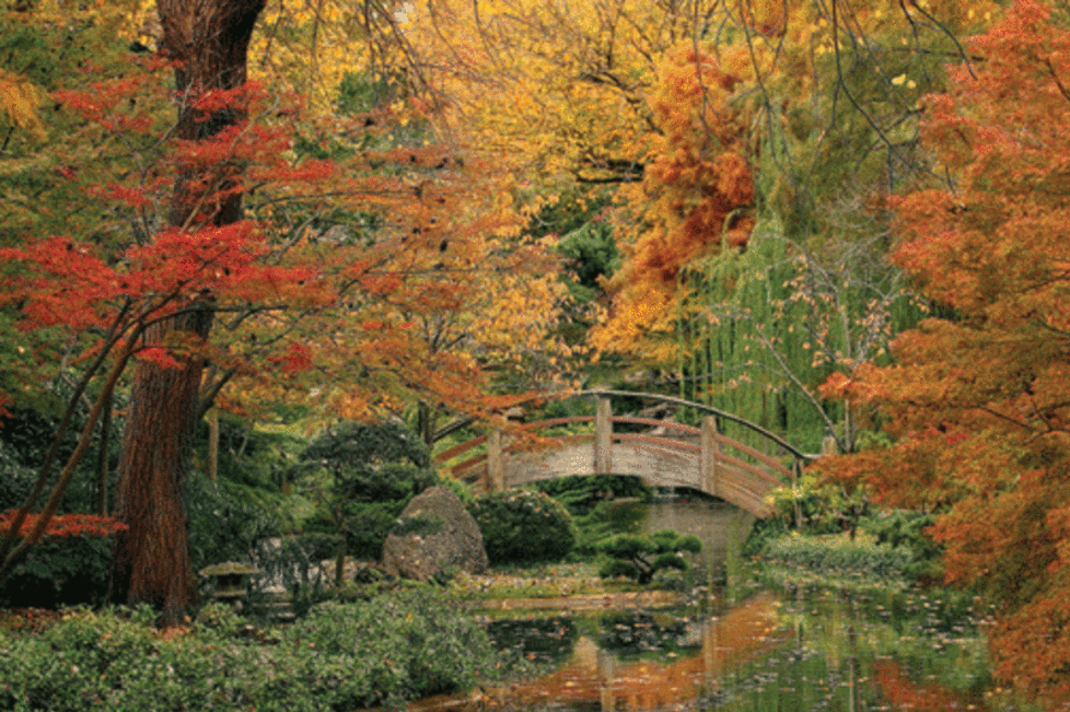Golden Moon Bridge Botanic Gardens