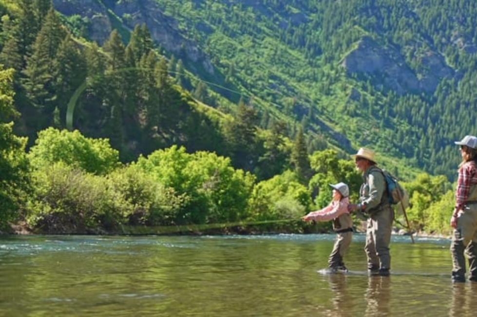 Fly Fishing on the Provo River