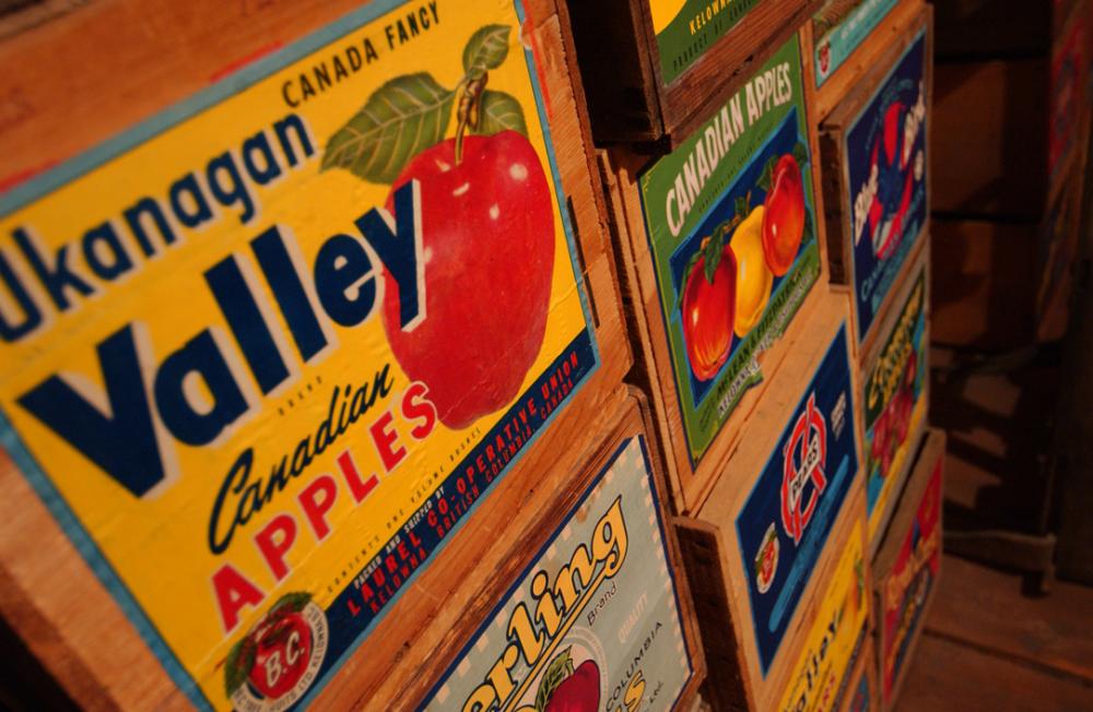 Vintage apple boxes and labels Kelowna, BC Okanagan Valley
