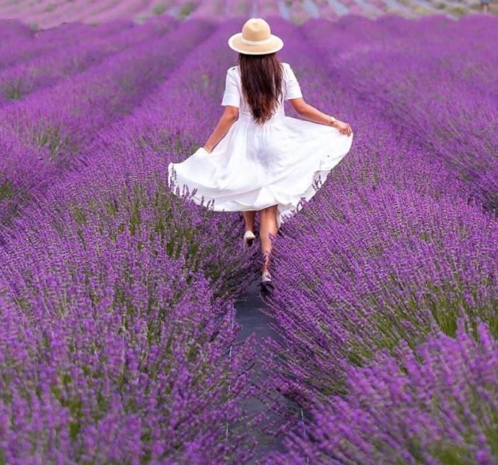 Lady in a white dress walking through a lavender field 