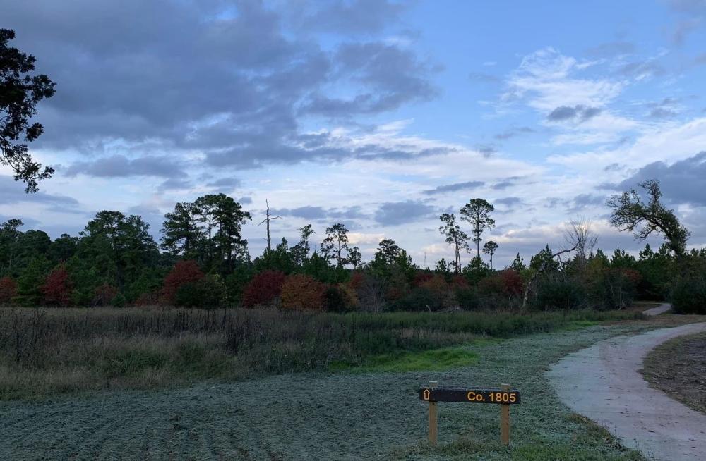 Bastrop State Park