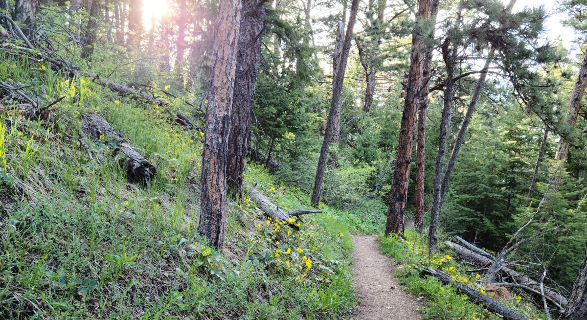 E.M. Greenman Trail