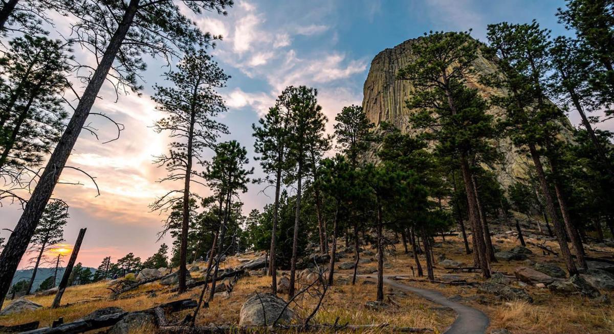 The camera looks up toward Devils Tower, slightly hidden by ponderosa pine trees, as evening approaches, marked by pinks and blues on the horizon.