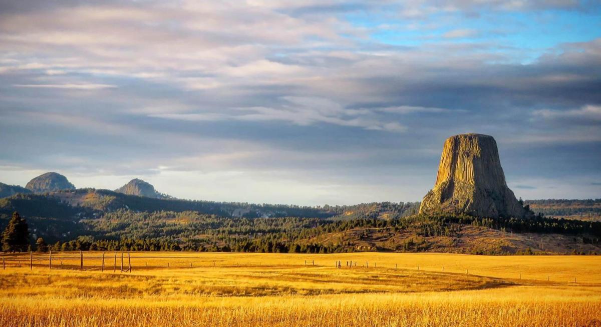 Landscape view of Devils Tower with golden fields around it