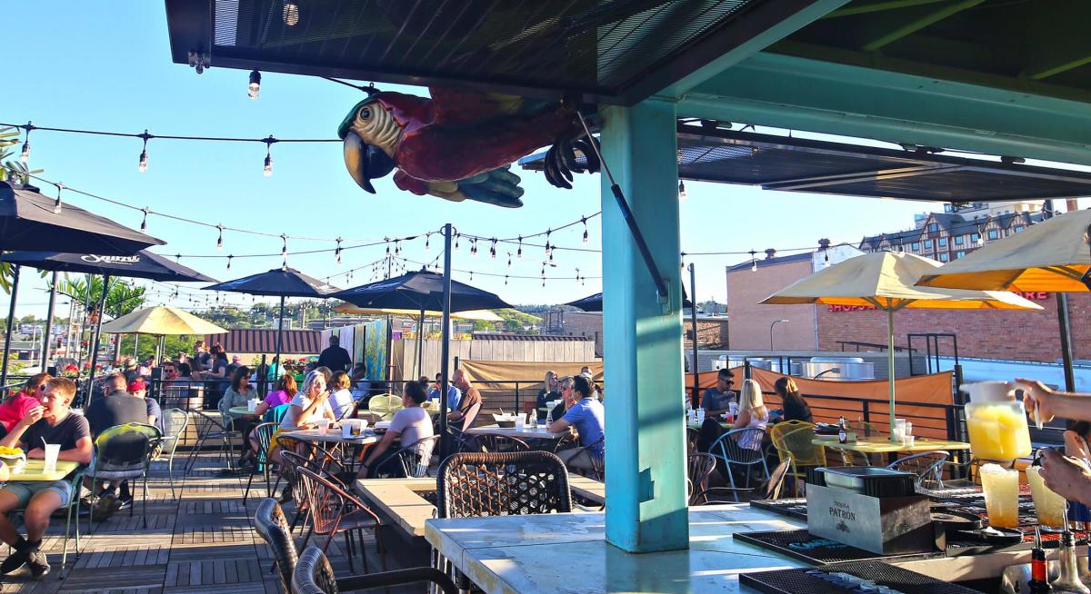 Outdoor rooftop patio with people dining under black umbrellas on a sunny day. A colorful parrot sculpture decorates the space, creating a lively atmosphere.