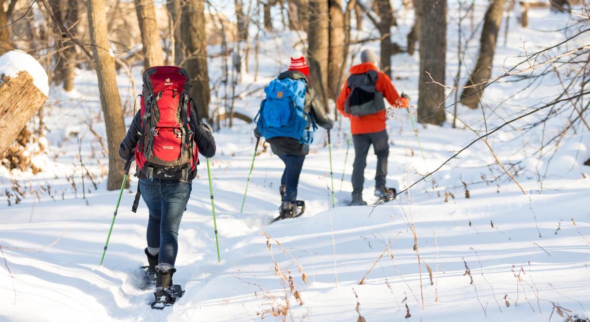 Three people snowshoe through the trails on the UW campus