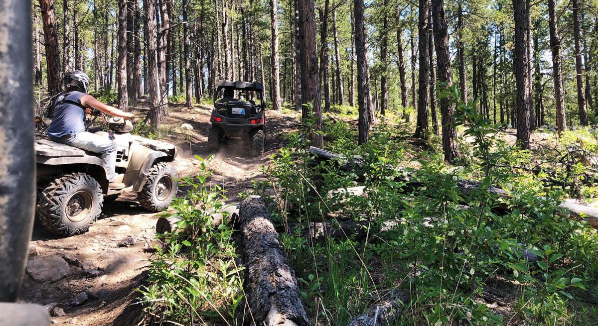 Atving group out cruising in the Black Hills National Forest