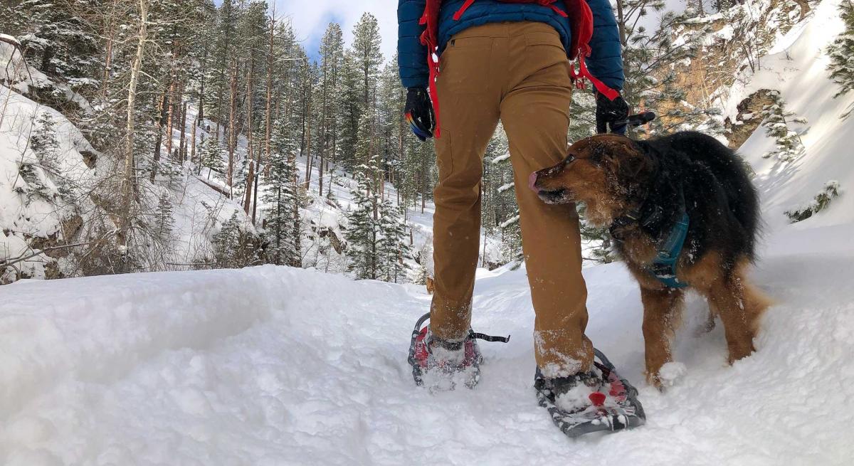 Snowshoeing with dogs in the black hills of south dakota
