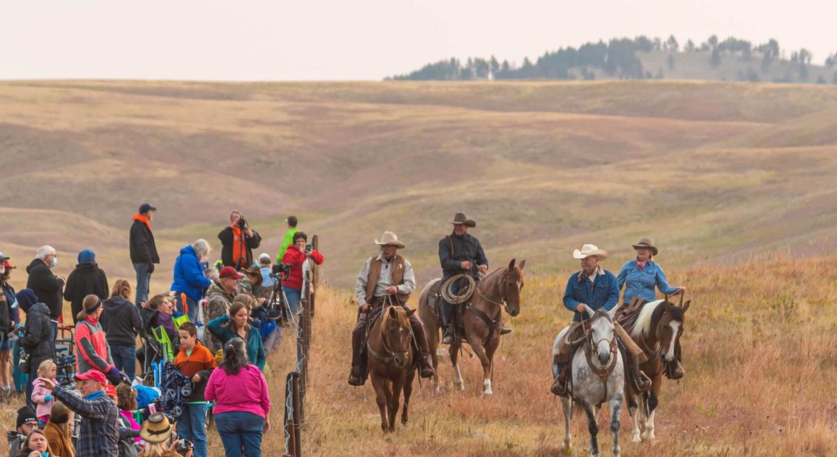 Custer state park buffalo roundup crowd with event wranglers 