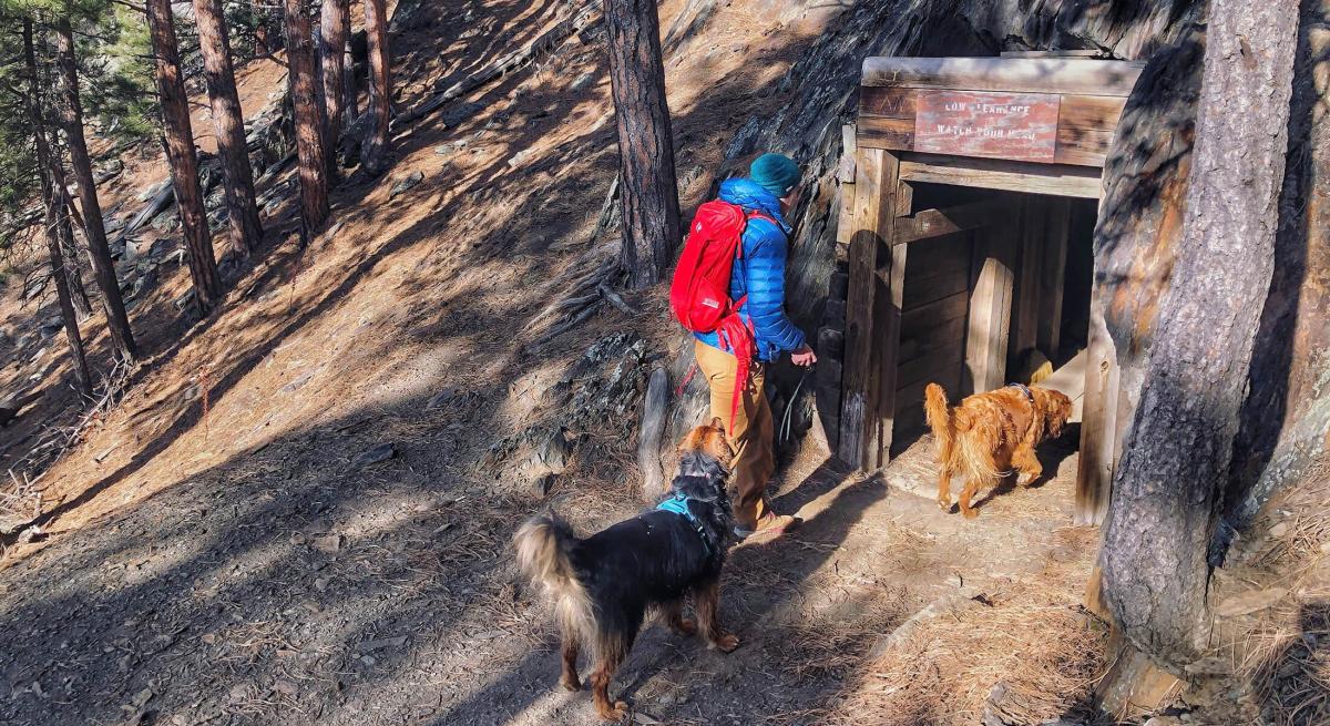 Hiking Flume trail in the Black Hills with dogs