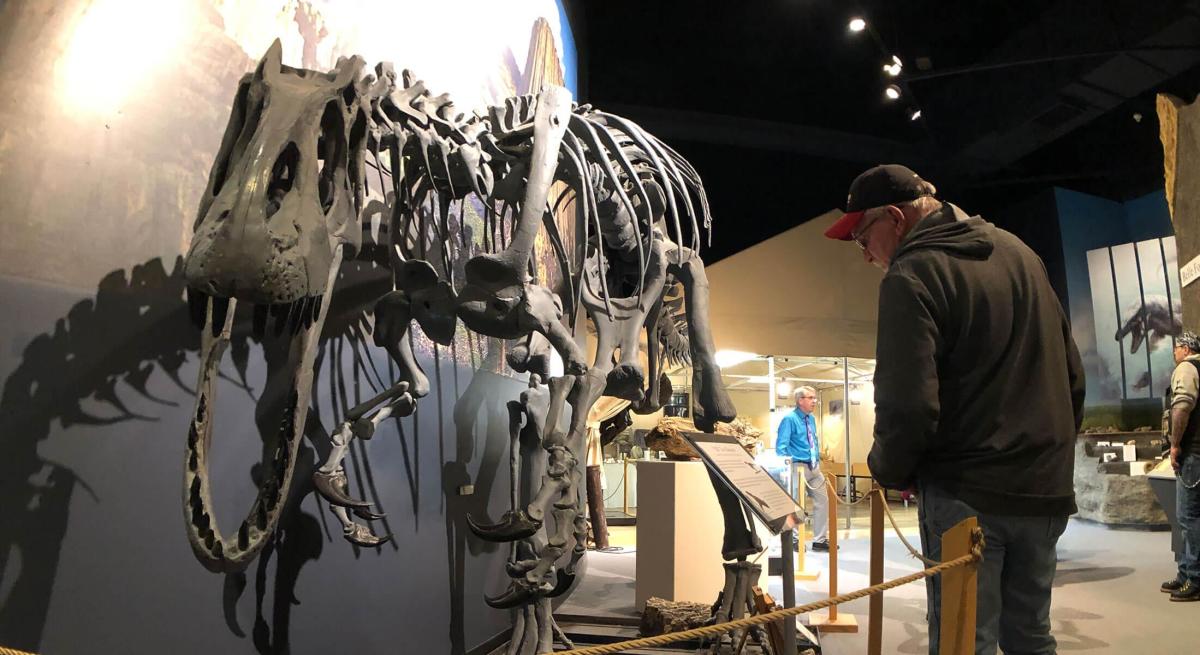 Paleontology exhibit at the Journey Museum and Learning Center
